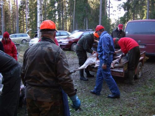 jahti 2007 125