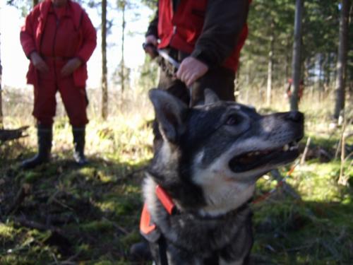 jahti 2007 85